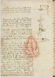 Flug der Vögel, c. 1505-06, Manuskript, Blatt 15 (verso)